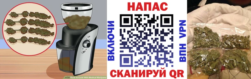 Canna-Cookies конопля Купить закладки Шадринск