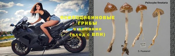 дживик Карталы