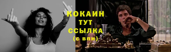 МДПВ Карпинск