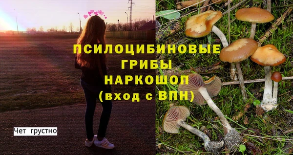 прущая мука Касимов