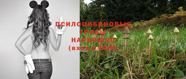 прущая мука Касимов