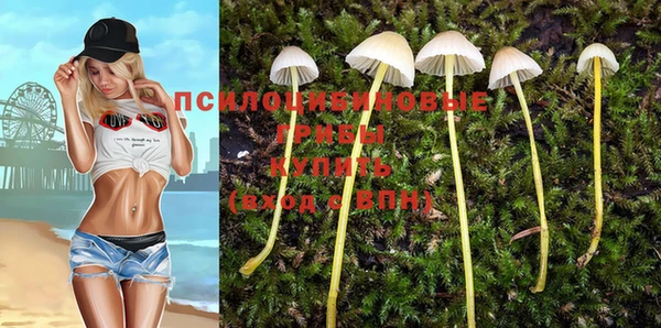 прущая мука Касимов
